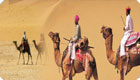 Rajasthan Travel Tours